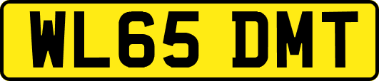 WL65DMT