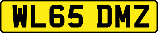 WL65DMZ