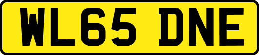 WL65DNE