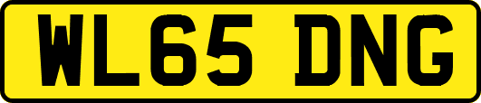 WL65DNG