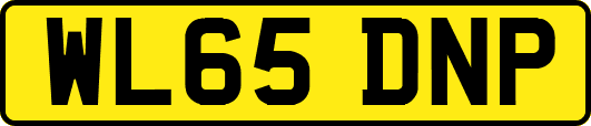 WL65DNP