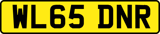 WL65DNR