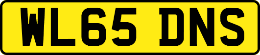 WL65DNS