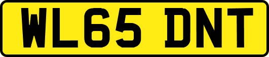 WL65DNT