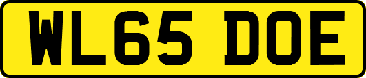 WL65DOE