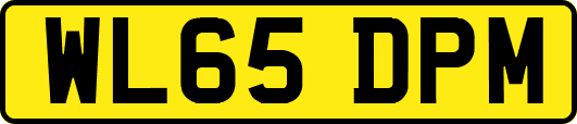 WL65DPM