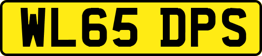WL65DPS
