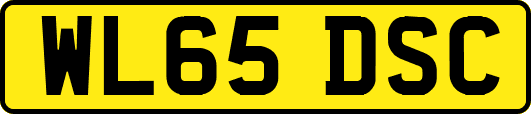 WL65DSC