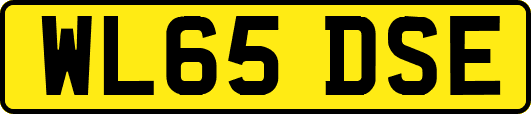 WL65DSE
