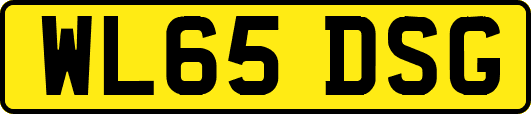 WL65DSG