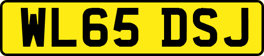 WL65DSJ