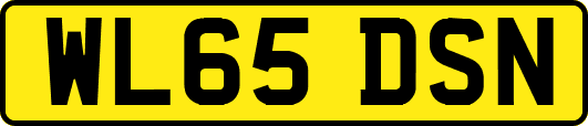 WL65DSN