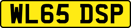 WL65DSP