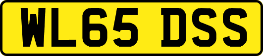 WL65DSS