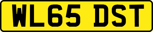 WL65DST