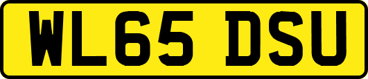 WL65DSU