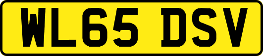 WL65DSV