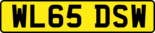 WL65DSW