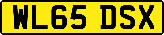 WL65DSX