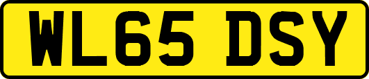 WL65DSY