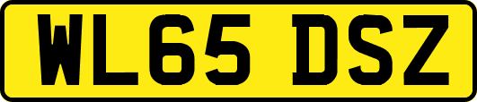 WL65DSZ