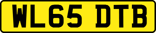 WL65DTB