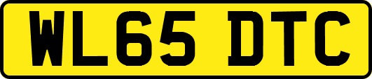 WL65DTC