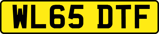 WL65DTF