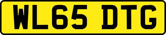 WL65DTG