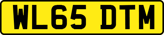 WL65DTM