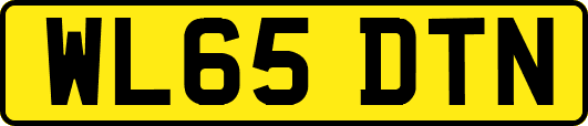 WL65DTN