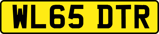 WL65DTR