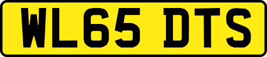 WL65DTS