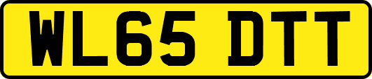 WL65DTT