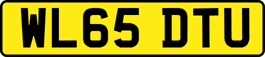 WL65DTU