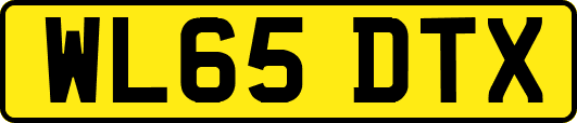 WL65DTX