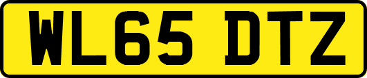 WL65DTZ