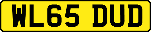 WL65DUD