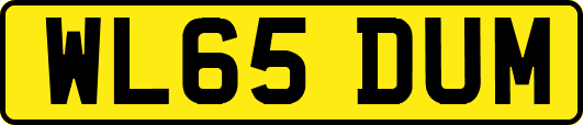 WL65DUM