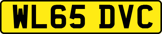 WL65DVC