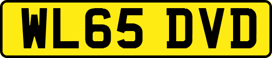 WL65DVD