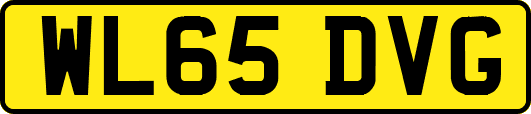 WL65DVG