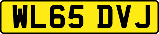 WL65DVJ