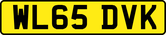 WL65DVK