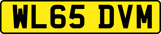 WL65DVM