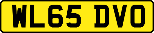 WL65DVO