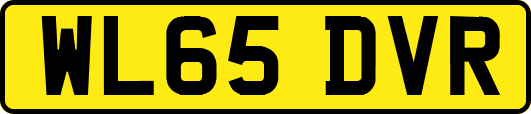 WL65DVR