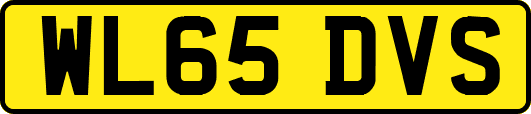 WL65DVS