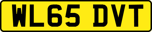 WL65DVT