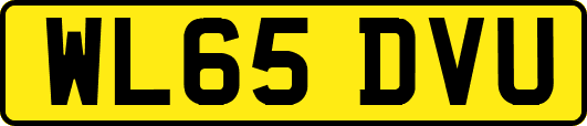 WL65DVU